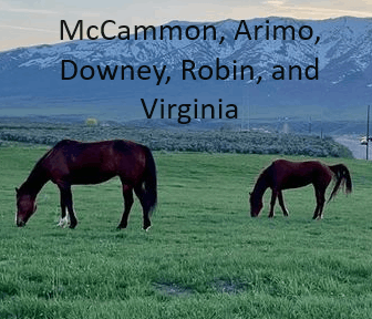 McCammon, Arimo, Downey, Robin and Virginia